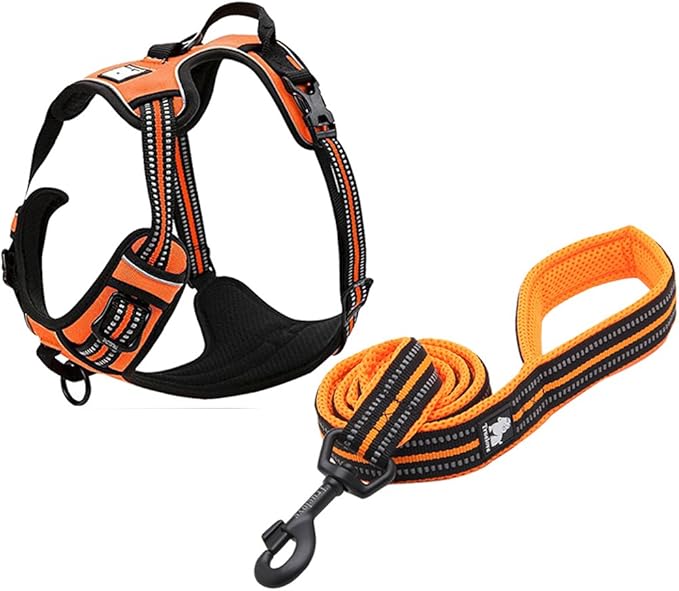 Creation Core Reflective Nylon Dog Harness and Training Leash Set Padded Durable Adjustable, Orange M
