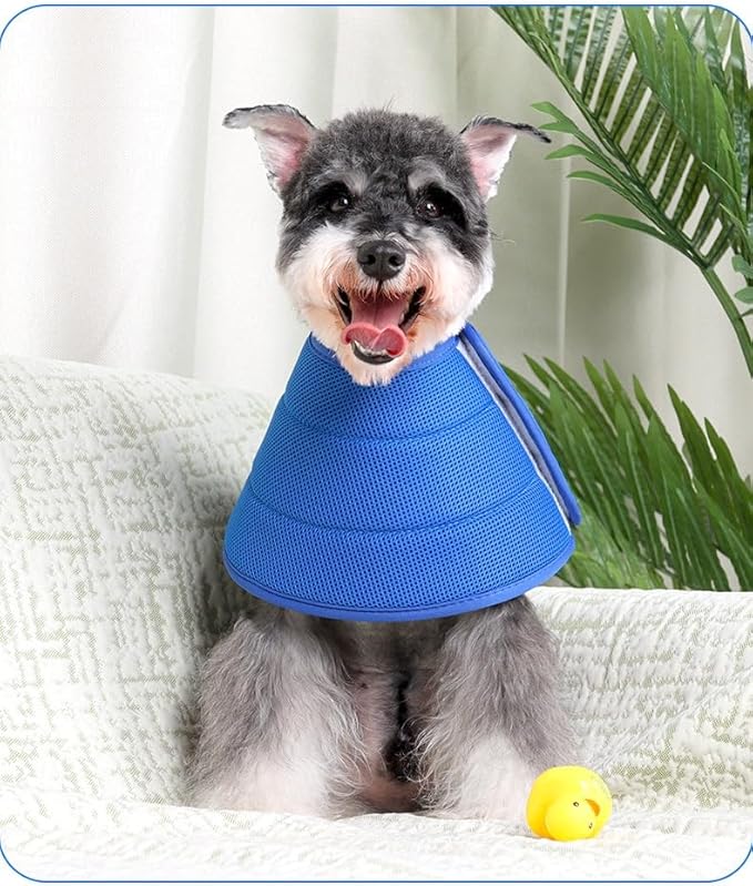 Soft Dog Cone Collar Alternative, Adjustable E-Collar for Surgery Recovery & Wound Protection. Comfy Elizabethan Cone for All Pets. (Blue, XXS (Fit Under 3.3 lbDog & 4.4 lb Cat))