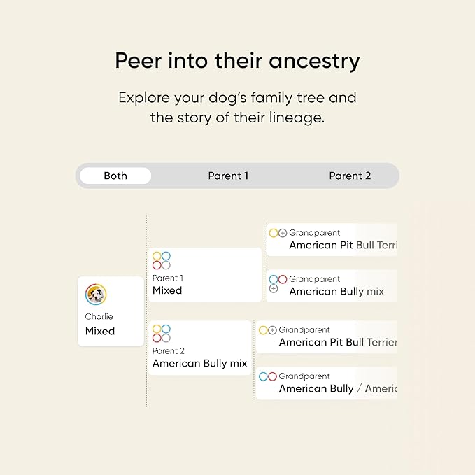 Embark Breed & Health Kit - Dog DNA Testing Kit - Discover Breed, Ancestry, Relative Finder, Genetic Health, Traits, Allergy Risk Scores (Pack of 2)
