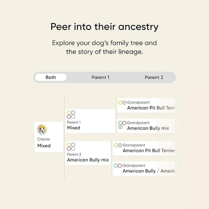Embark Breed & Health Kit - Dog DNA Testing Kit - Discover Breed, Ancestry, Relative Finder, Genetic Health, Traits, Allergy Risk Scores (Pack of 2)