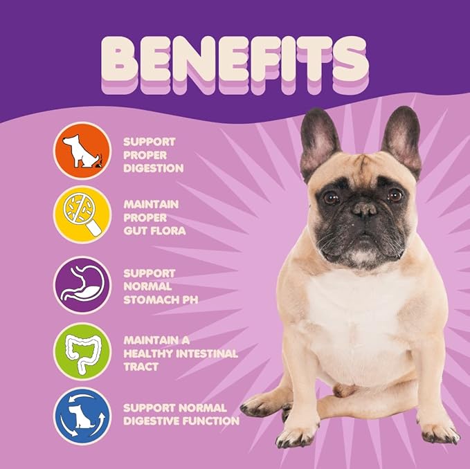 Probiotics for Dogs & Puppies–Extra Strength 9 Species, 5 Billion CFU per Scoop of Powder Digestive Enzymes for Dogs. Gut Fiber & Allergy Relief