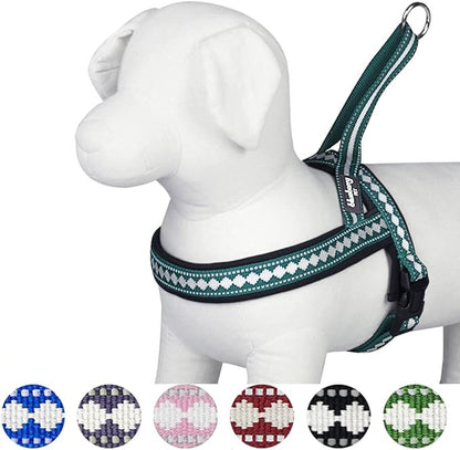 Blueberry Pet 6 Colors Soft & Comfy Jacquard Padded Dog Harness, Chest Girth 21.5" - 27.5", Teal Blue, S/M, Reflective Adjustable Harnesses for Dogs