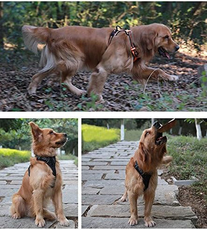 JUXZH Truelove No Pull Dog Harness with Easy Control Handle and 2 Leash Attachments,Reflective Adjustable Pet Vest