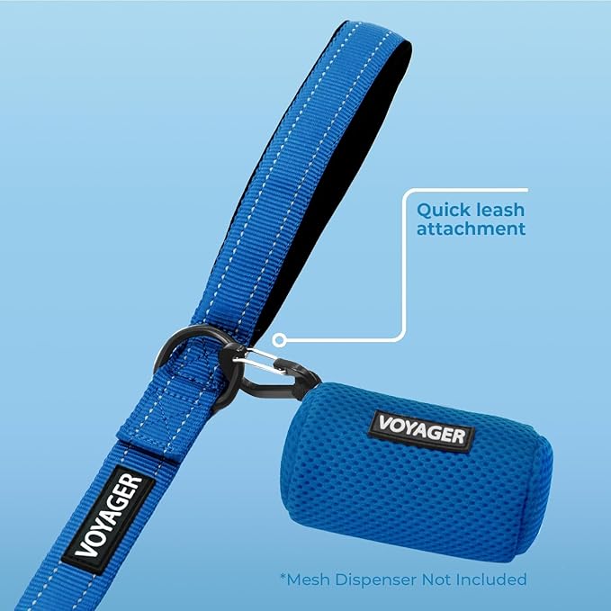 Best Pet Supplies Voyager Reflective Dog Leash or Collar with Neoprene Handle, for Small, Medium, and Large Breed Puppies, Cute and Heavy Duty for Walking, Running and Training - Royal Blue (Leash), L