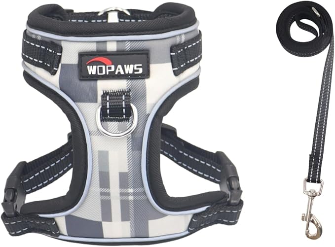 No Pull Dog Harness and Leash Set-Reflective Plaid Design, Adjustable & Comfortable with Front D Ring for Small Medium Dogs (S, Black Plaid)