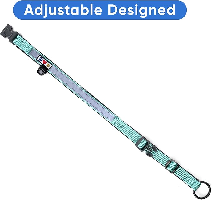 Pawtitas Lumberjack Padded Martingale Collar for Dogs | Soft Neoprene Dog Collar for Your pet's Comfort Made with Reflective Band for Maximum Visibility | Fits Small and Large Pets - Medium Teal
