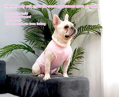Dog Pink Recovery Suit for X-Small Puppy Female Spay,Cat Male Dog Surgery Suit,Narrow Pink-White XS