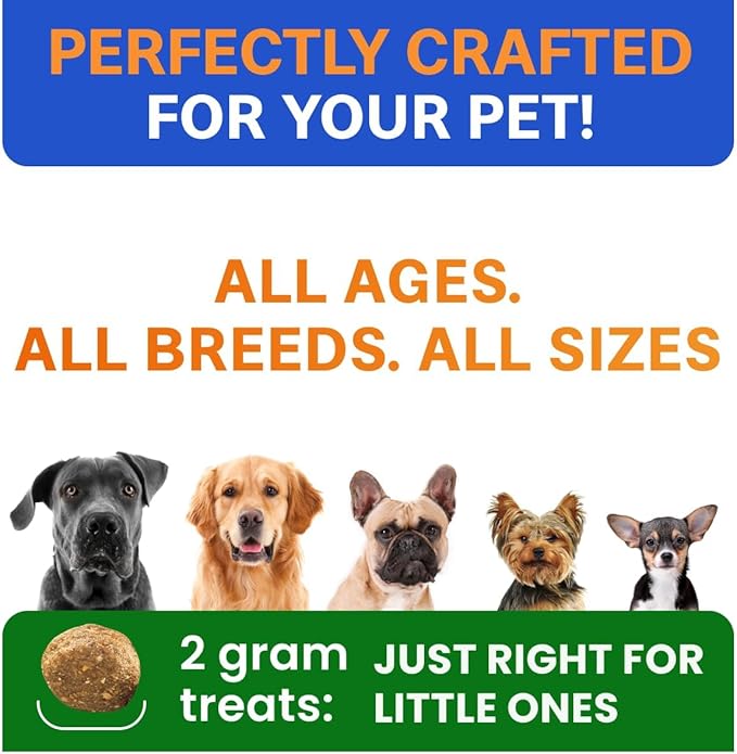 BARK&SPARK Dog Probiotics for Digestive Health w/Enzymes & Fiber - Diarrhea Gas Treatment Upset Stomach Relief - Allergy & Itchy Skin - Pet Probiotics for Dogs - (180Ct, Chicken)