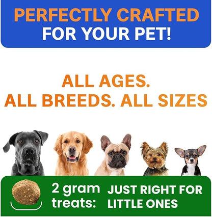 BARK&SPARK Dog Probiotics for Digestive Health w/Enzymes & Fiber - Diarrhea Gas Treatment Upset Stomach Relief - Allergy & Itchy Skin - Pet Probiotics for Dogs - (180Ct, Chicken)