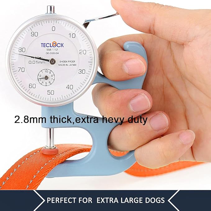 Plutus Pet Dog Leash 6ft Long,Traffic Padded Two Handle,Heavy Duty,Reflective Double Handles Lead for Control Safety Training,Leashes for Large Dogs or Medium Dogs,Dual Handles Leads(Orange)