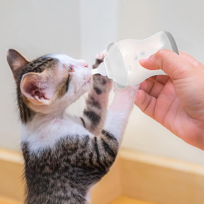 ORFOFE Breast Feeder for Dogs Cats Puppy Bottle Cat Nursing Bottle Milk Feeder Leakproof Pet Feeding Kit
