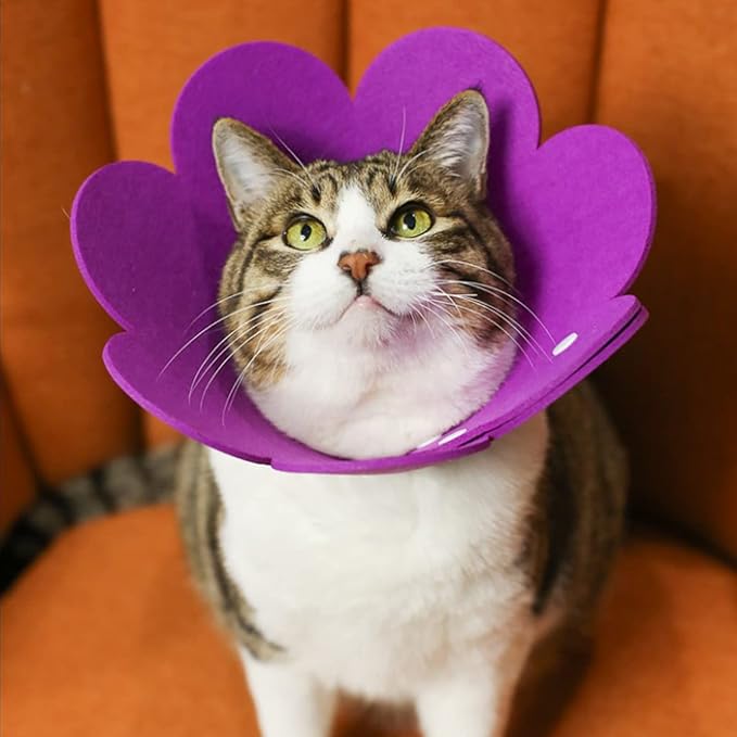 Pet Cone Collar, 3 PCS Adjustable Pet Recovery Protective Collar Cute Sunflower Shape Elizabethan Cat Cone Collar for Cats and Dogs, Red and Purple and Light Blue