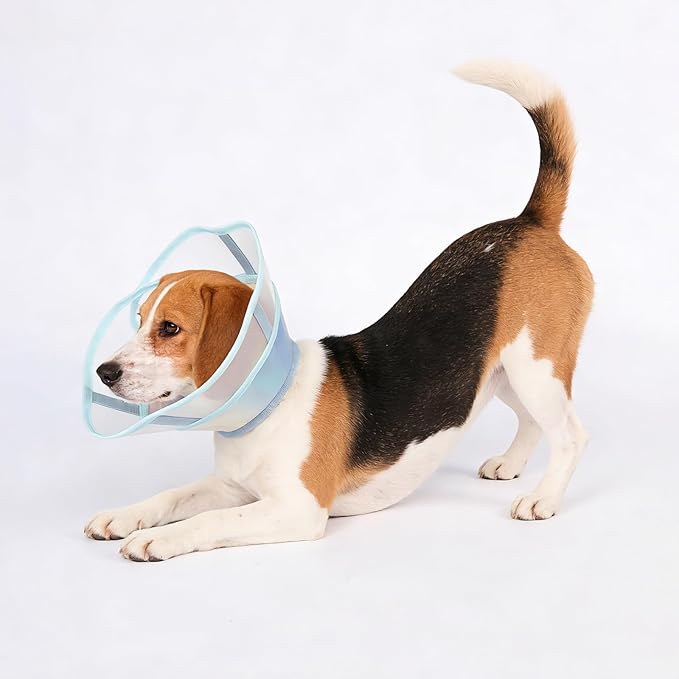 Touchdog Soft Dog Cone Collar,Waterproof & Foldable Elizabethan Collar for Dogs After Surgery, No Lick Recovery E-Collar, Comfortable Protective Cone Alternative for Small Medium Large Dogs (Blue, S)