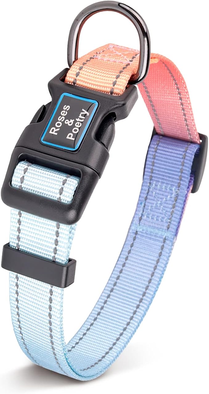 Roses&Poetry Blue Dog Collar and Leash for Medium Dogs, Reflective Dog Collars and Leashes, Buckle Adjustable Durable Pet Matching Leash with Collar for Girl and Boy Running, Walk（Azure-M