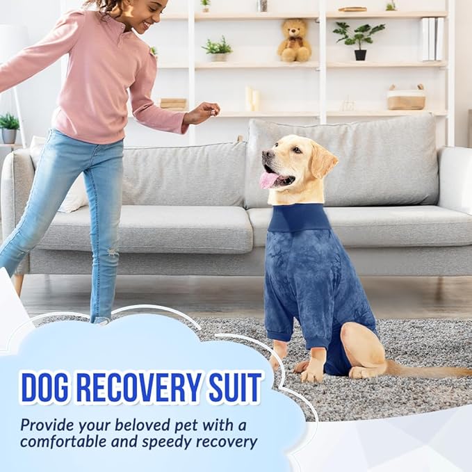 Lukovee Recovery Suit for Dogs - Soft Onesie Dog Surgery Suit for Female Male Dogs, Breathable Surgical Recovery Suit Prevent Licking Spay Recovery Suit Dog E-Collar & Cone Alternative(S,Blue)