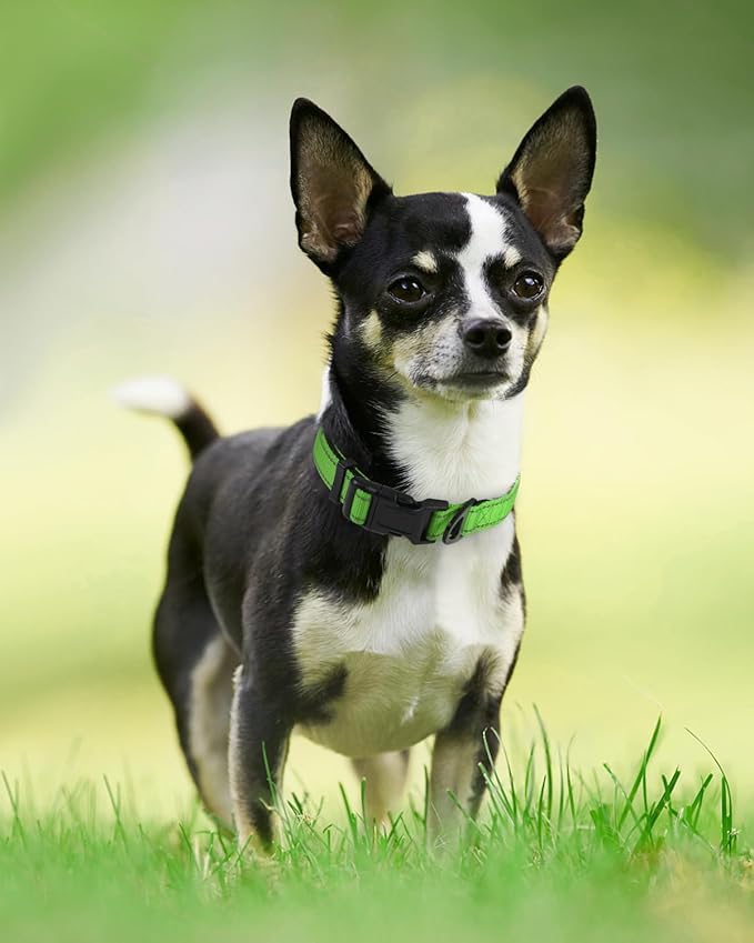 Joytale Reflective Dog Collar, Soft Neoprene Padded, Metal D-Ring, Nylon Pet Collar Adjustable for Puppy and Small Dogs, Green, XS