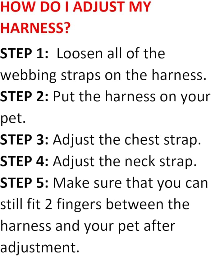 Best Pet Supplies Voyager Step-in Air All Weather Mesh Harness and Reflective Dog 5ft Leash Combo with Neoprene Handle, for Small, Medium and Large Breed Puppies - Set (Baby Blue), X-Small