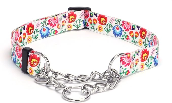 Martingale Dog Collar with Stainless Steel Chain - Limited Chain Cinch Training Collar for No Pull Training Dog - Flower Multicolor Cute Patterns - Premium No Slip Collar (L, White)
