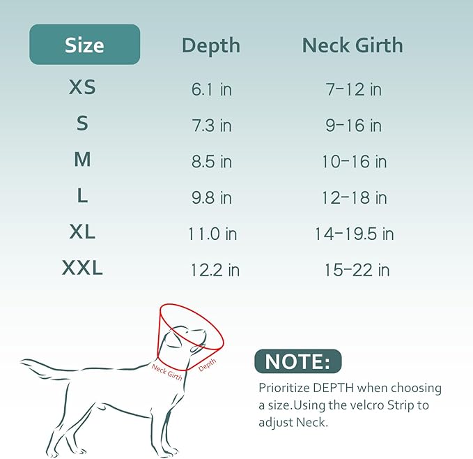 Dog Cone Collar with Snap-on Detachable Soft Liner, Lightweight Transparent Elizabethan Alternative to Stop Licking, for Spay Neuter Surgery Recovery, for Medium Large Small Dogs (Green,2XL)