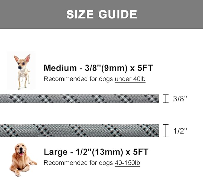 5 FT Slip Lead Dog Leash, Heavy Duty Rope Leash for Small Medium Large Dogs, No Pull Training Lead with Reflective Thread, Strong Comfortable Loop Leash (Grey Stripe, Medium(3/8"))