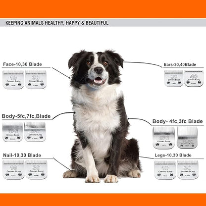 3PCS 40 Blades Dog Grooming Replacement Blades Compatible with Andis Dog Clipper,Ceramic Blade & Stainless Steel Blade
