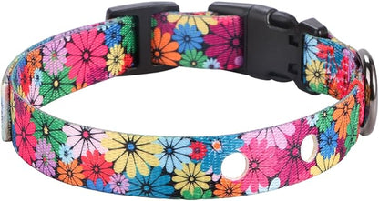 Rhea Rose 3/4 Inch Replacement Collar Strap Shock Collar with 2 Holes, Compatible with Nearly All Brands and Models of Underground Electric Dog Fences and Training Collars, Floral Pattern