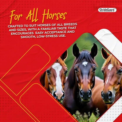Horse Ivermectin Paste 1.87% – Apple Flavored Oral Horse Dewormer Syringe – 6.08g Tube Treats Horses Up to 1250 LB [Pack-36]