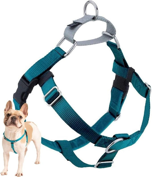 2 Hounds Design Freedom No Pull Dog Harness, Adjustable Harness, Easy Walking & Comfortable Control, Fits Small, Medium & Large Dogs, Solid Colors, Made in USA, 1" LG, Teal