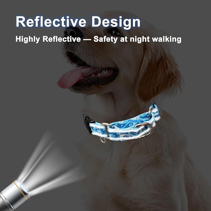 Reflective Martingale Collar with Quick Release Buckle Anti Pulling Boy Male Adjustable Dog Collars (Blue Waves, XSmall)