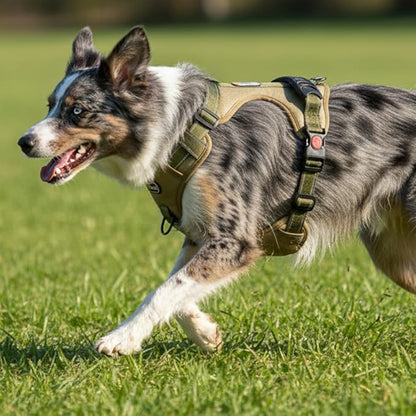 M Size Tactical Dog Harness and Leash Set, No Pull Adjustable Pet Vest with Handle and Reflective Trim, Dual Clip Oxford Training Chest Collar for Medium Dogs Walking Hiking Outdoor Control