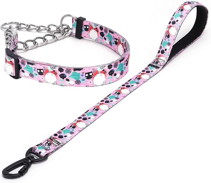 Martingale Dog Collar and Leash Set, Stainless Steel Chain, No Pull Training Collar with Flower Design, for Small, Medium, Large Dogs (NO12, L)