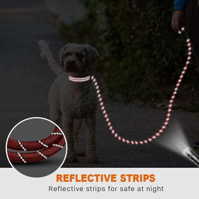 Taglory Rope Dog Leash 4 FT with Comfortable Padded Handle, Highly Reflective Threads Leash and Anti-Tangle Clip for Walking Small Dogs, 3/8 inch, Red