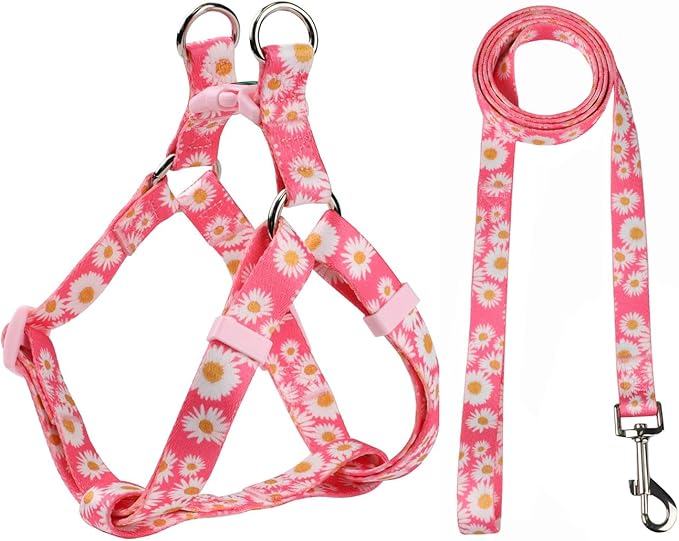 Harness and Leash Set, Floral Pattern, 5ft Matching Leash, No Pull, Easy Wear for Small Puppy Dogs.(XS, Pink Daisy)