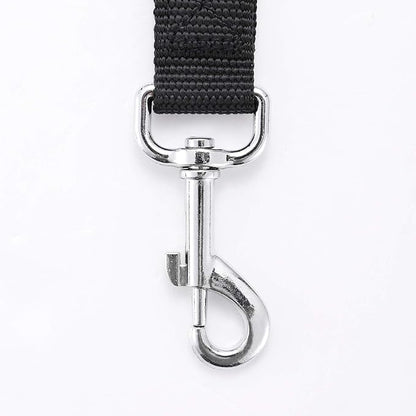Strong Durable Nylon 10ft Long Dog Training Leash, Traction Rope, 1 Inch Wide, for Small and Medium Dog (Black, 10 Feet)