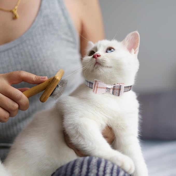 EXPAWLORER Dog Collar and Leash Set - Classic Plaid Medium Dog Collar with Bow Tie, Cute Collar and Leash Set, Adjustable Dog Collar for Medium Dogs Holiday Birthday Gifts, Beige Medium
