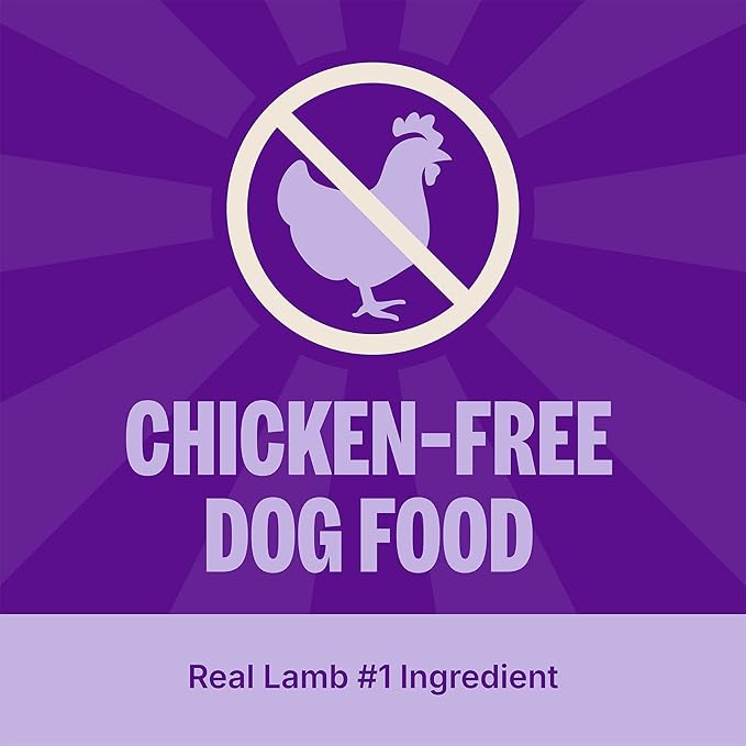 Wellness Simple Limited Ingredient Diet Adult Dry Dog Food, Wholesome Grain Kibble, Sensitive Stomach, Skin & Coat Support, Natural, Chicken Free, Lamb and Oatmeal Recipe, 26 lb Bag