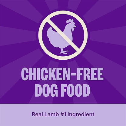 Wellness Simple Limited Ingredient Diet Adult Dry Dog Food, Wholesome Grain Kibble, Sensitive Stomach, Skin & Coat Support, Natural, Chicken Free, Lamb and Oatmeal Recipe, 26 lb Bag
