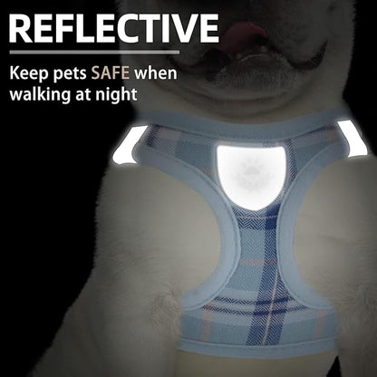 PUPTECK Adjustable Dog Harness Collar and Leash Set Step in No Pull Pet Harness for Small Medium Dogs Puppy and Cats Outdoor Walking Running, Soft Mesh Padded Reflective Vest Harnesses, Blue L