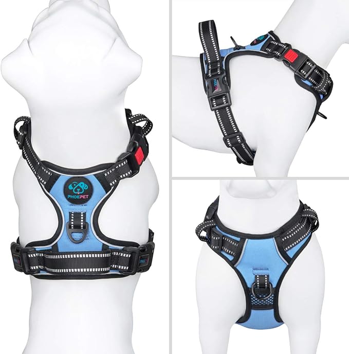 PHOEPET No Pull Dog Harness 3M Reflective Adjustable Vest with a Training Handle, Name ID Pocket, 2 Metal Leash Hooks, 3 Snap Buckles [Easy to Put on & Take Off](XL, Baby Blue)