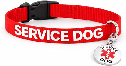 Service Dog Collar & Emotional Support Animal (ESA) Collar with Metal ID Tag + 3 Information Cards – Adjustable Heavy-Duty Nylon | ALL ACCESS CANINE
