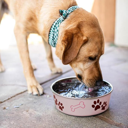 Loving Pets Bella Dog Bowls- Stainless Steel Dog & Cat Bowls - Spill Proof Dog Food Bowl, Cat Bowl, Puppy Essentials & Pet Supplies Great for Home & Travel (X-Large 65-100lbs, Paparazzi Pink)