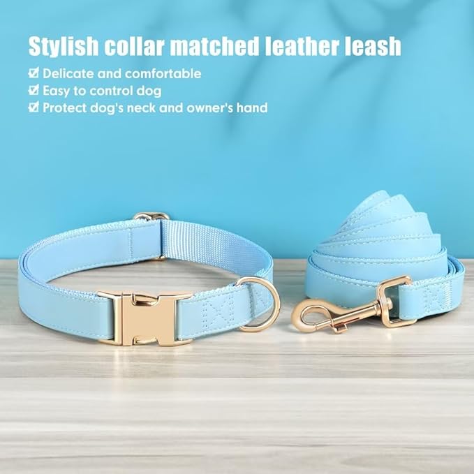 PET ARTIST Soft PU Leather Dog Collar and Leash Set, Bright & Stylish 5FT PU Leather Leash and Collar Set, Durable Pet Collars with Quick Release Metal Buckle for Medium Dogs,Blue,M(13-19")