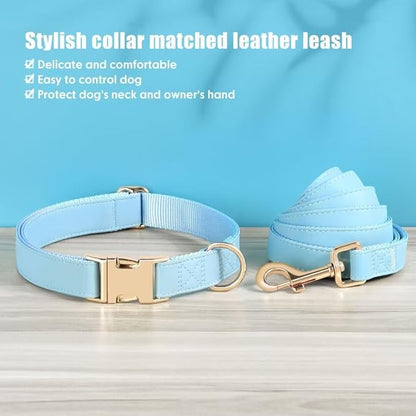 PET ARTIST Soft PU Leather Dog Collar and Leash Set, Bright & Stylish 5FT PU Leather Leash and Collar Set, Durable Pet Collars with Quick Release Metal Buckle for Medium Dogs,Blue,M(13-19")