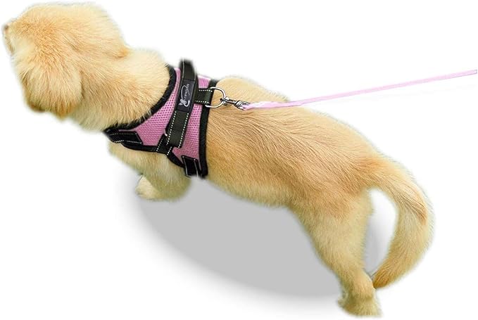 No Pull Reflective Adjustable Dog Harness with Handle- Comfortable Soft All Weather Mesh, Easy On Puppy Harness for Small Medium and Large Dogs (Pink) XX-Small