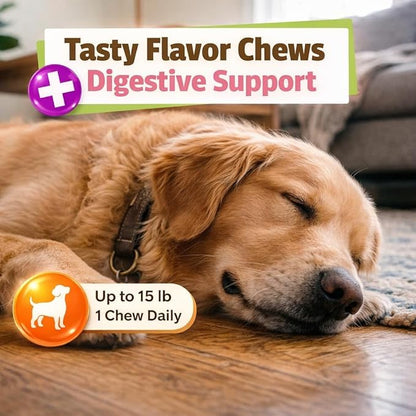 Pet Naturals Calming Chews for Dogs and Cats, Anxiety Relief with Gentle Ingredients for Thunder, Fireworks, Travel, Grooming, Value Size Calming Pet Treats, Chicken Flavor, 160 Count