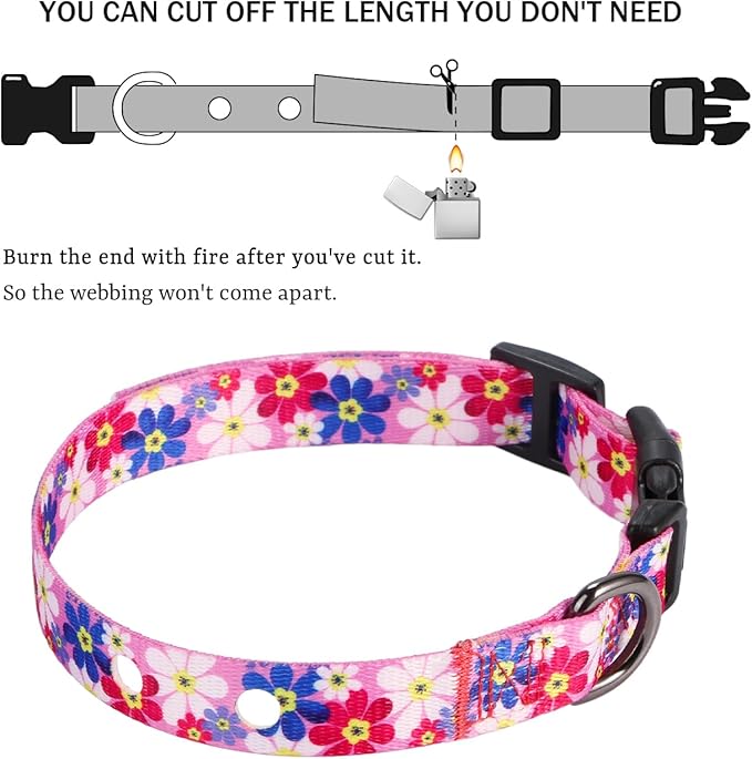 Rhea Rose 3/4 Inch Replacement Collar Strap Shock Collar with 2 Holes, Compatible with Nearly All Brands and Models of Underground Electric Dog Fences and Training Collars, Pink Daisy