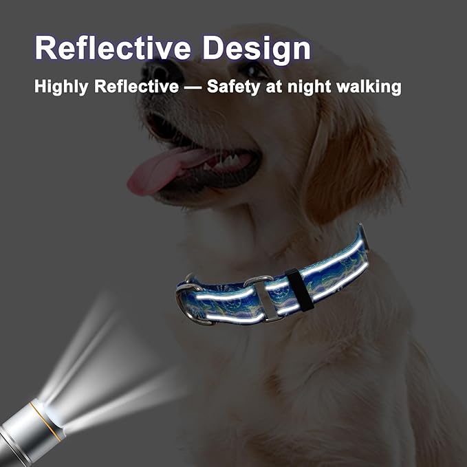 Reflective Martingale Collar for Dogs Nylon Training Collar with No Buckle, No Pull Adjustable Dog Collar for Small Dogs（Blue Starfish，S）
