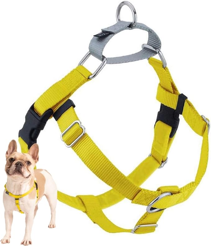 2 Hounds Design Freedom No Pull Dog Harness, Adjustable Harness, Easy Walking & Comfortable Control, Fits Small, Medium & Large Dogs, Solid Colors, Made in USA, 1" MD, Yellow