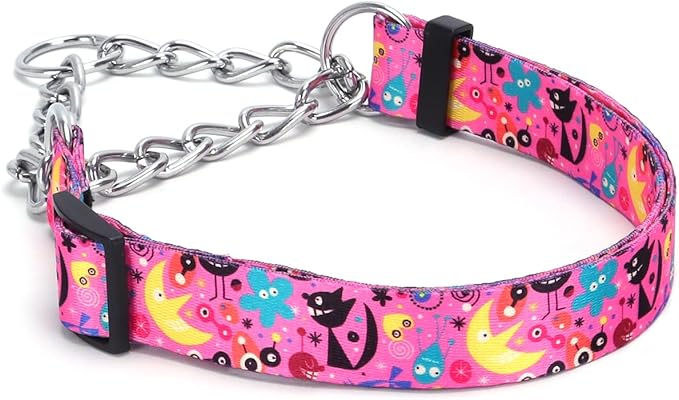 Martingale Dog Collar with Stainless Steel Chain - Limited Chain Cinch Training Collar for No Pull Training Dog - Flower Multicolor Cute Patterns - Premium No Slip Collar (HA12NO17, S)