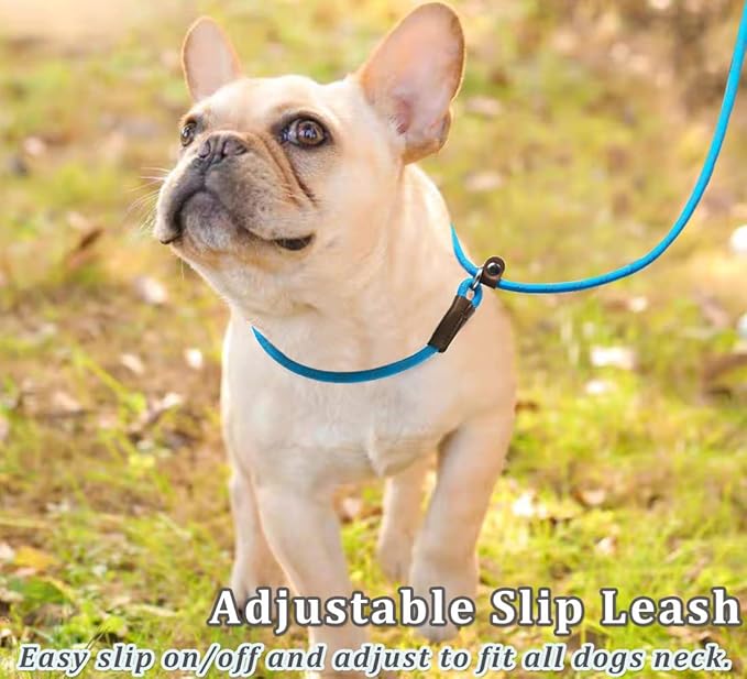 WYUZE 2-Pack 8ft Slip Lead Dog Leash, Reflective No Pull Dog Training Lead, 1/3" Nylon Rope Easy On/Off Slip Control Leash for Small Medium Dogs (Black+Blue)